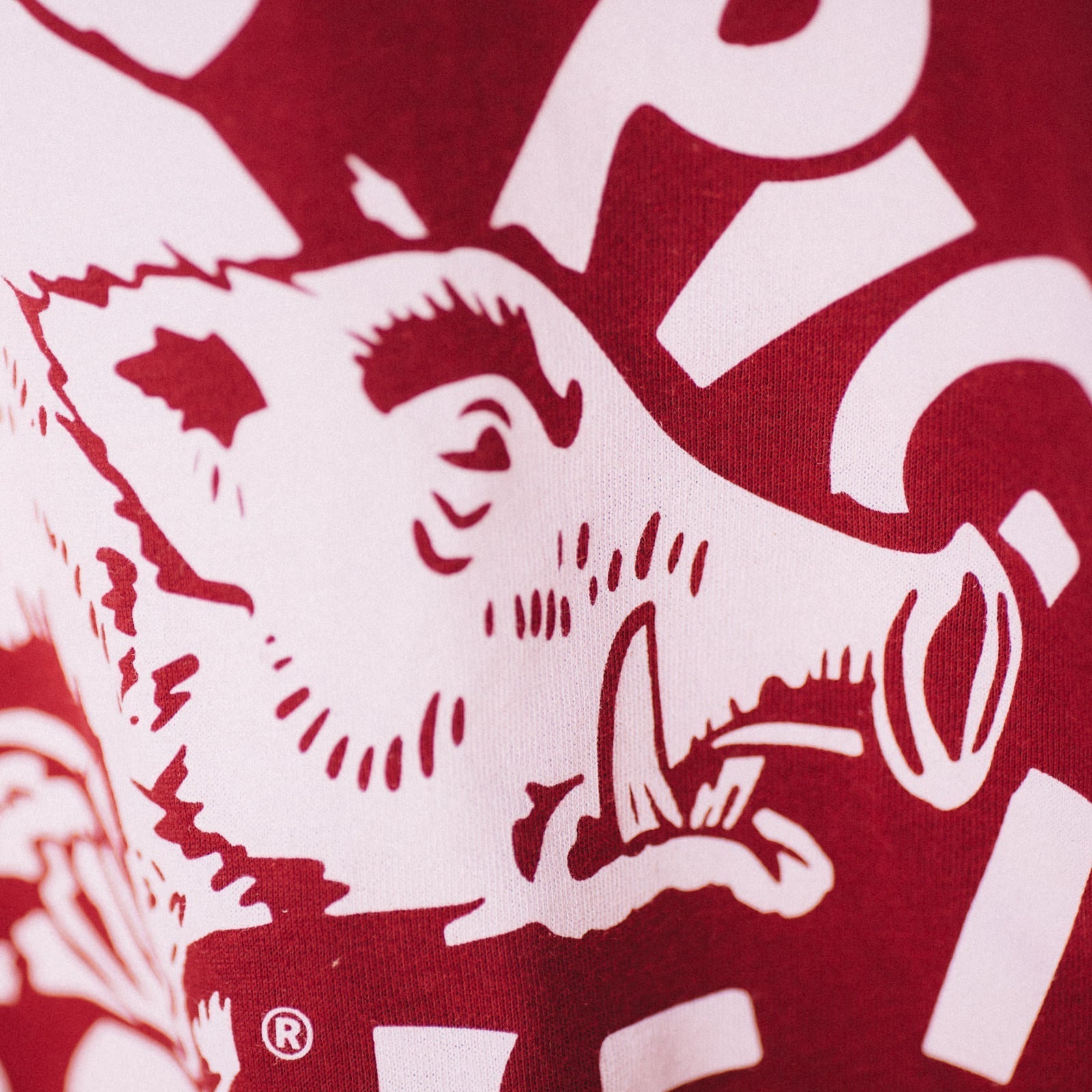 Vintage Arkansas “Hog Call” Tee