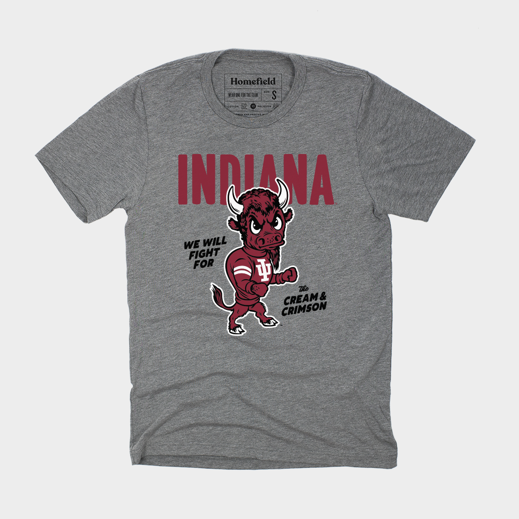 Vintage 1965 Indiana University Bison Tee