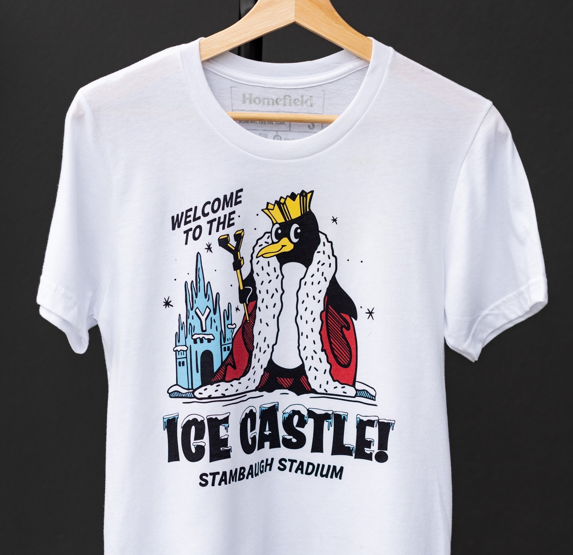 Youngstown State Ice Castle Tee