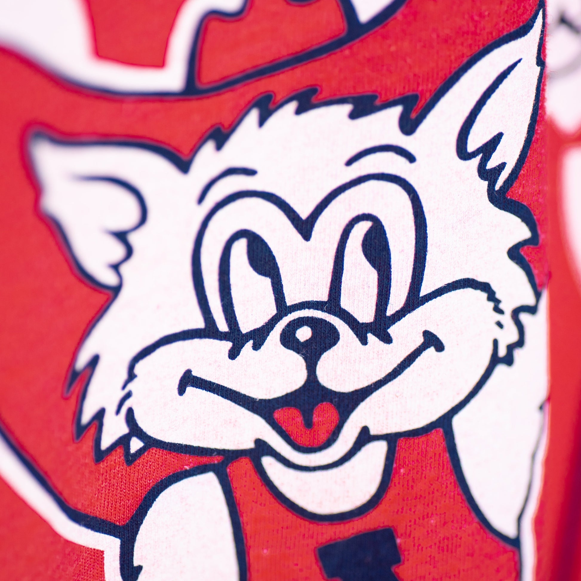 Vintage Arizona Go Wild About Those Cats Tee