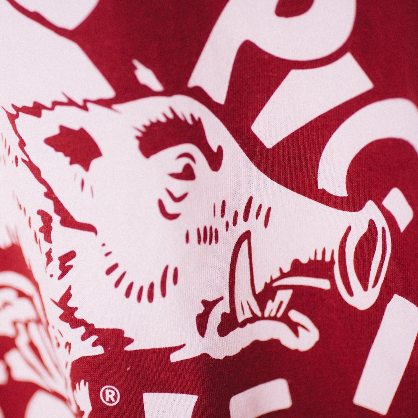 Vintage Arkansas “Hog Call” Tee