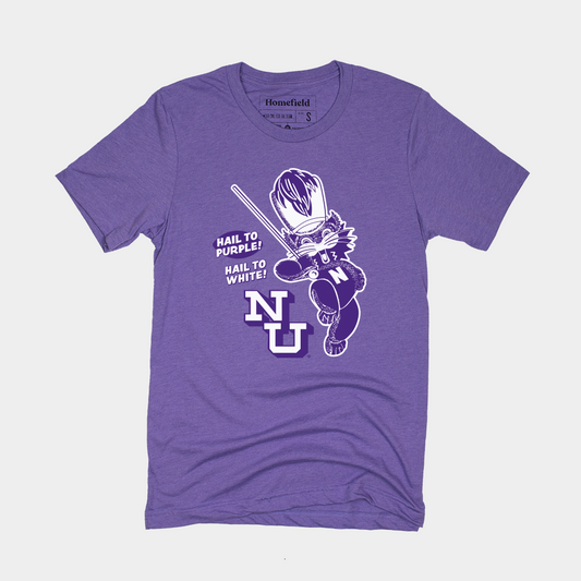 Northwestern Wildcats Vintage Band Tee