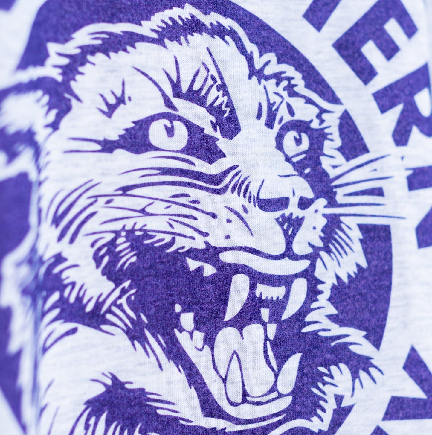 Northwestern University Vintage Tee