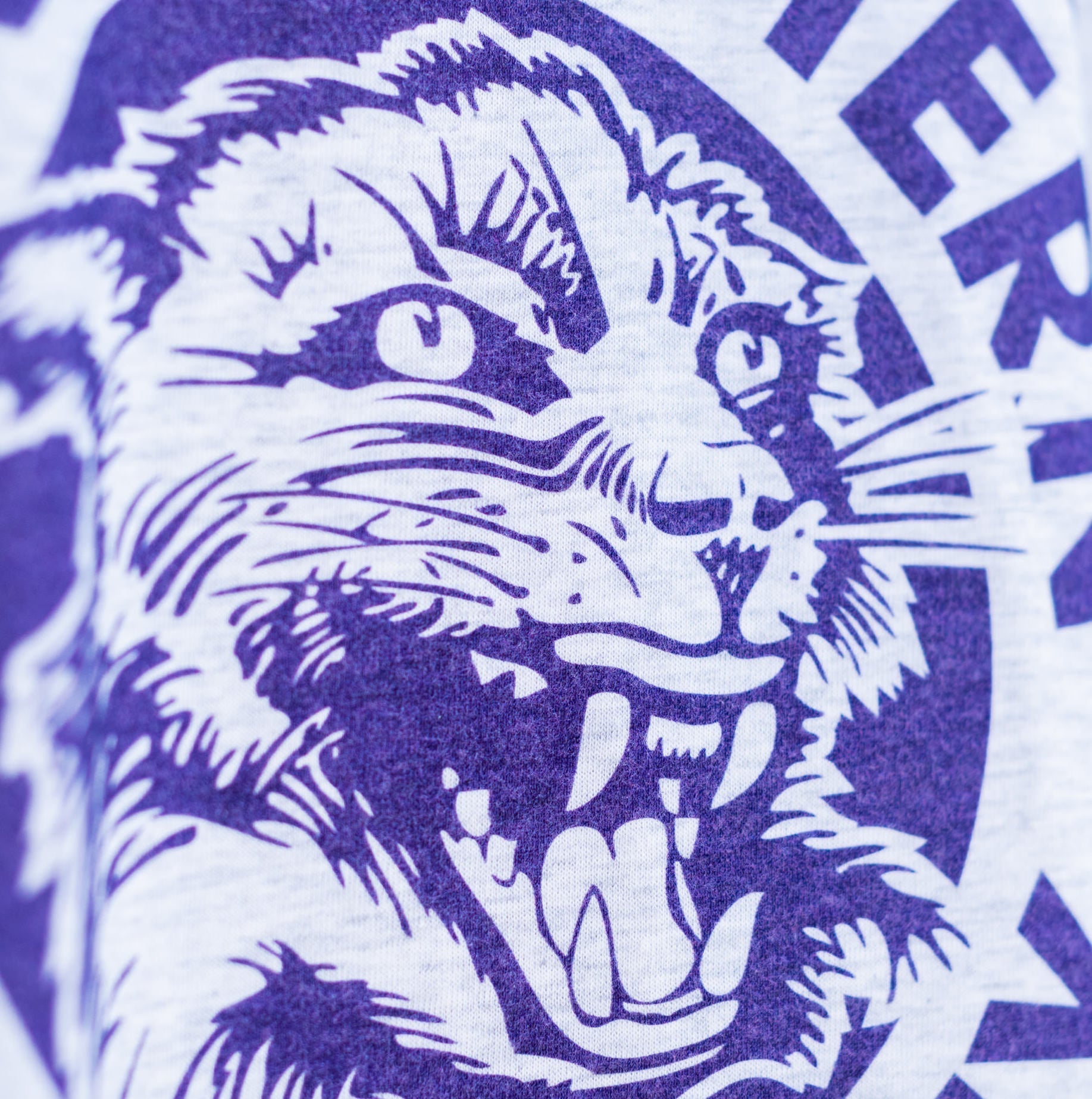 Northwestern University Vintage Tee